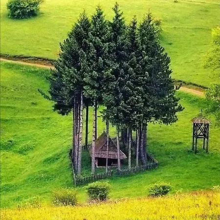 Petar Нова-Варош